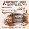 Chocolate Plant Protein Powder